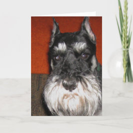 Schnauzer Note Kaart