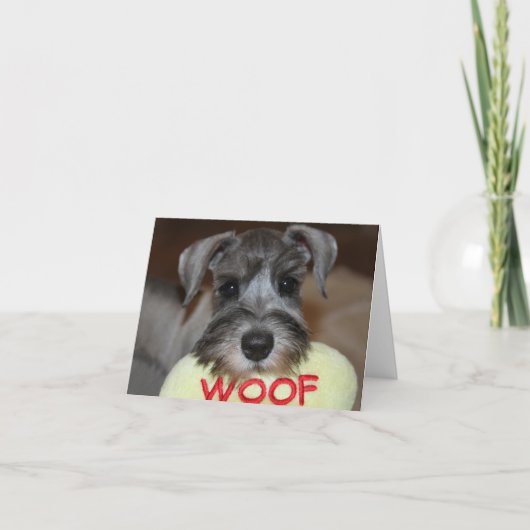 Schnauzer Notecards Kaart (Voorkant)