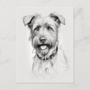 Schnauzer portret potlood schets briefkaart