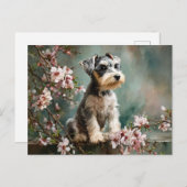 Schnauzer Puppy Among Spring Cherry Blossoms Briefkaart (Voorkant / Achterkant)