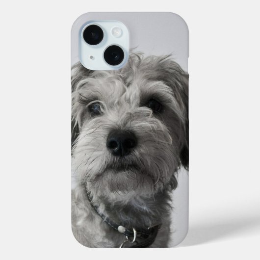 Schnauzer Puppy Case-Mate iPhone Case (Achterkant)