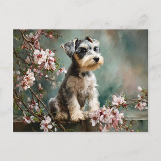 Schnauzer Puppy Tussen Lente Kersenbloesems Briefkaart