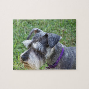 Schnauzer Puzzle Legpuzzel