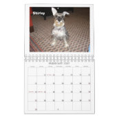 Schnauzer Rescue of the Mid-Atlantic 2012 Kalender (Feb 2027)