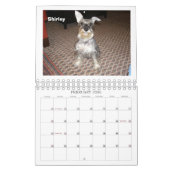 Schnauzer Rescue of the Mid-Atlantic 2012 Kalender (Feb 2026)