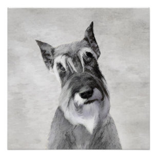Schnauzer (reuzenschilderkunst) perfect poster