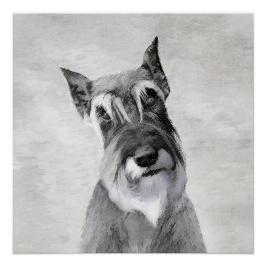 Schnauzer (reuzenschilderkunst) perfect poster (Voorkant)