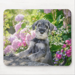 Schnauzer-standaardpuppy in een bloeiende tuin muismat