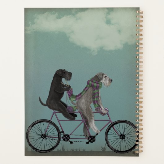 Schnauzer Tandem (Dos)