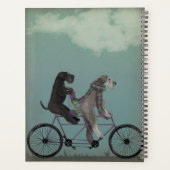 Schnauzer Tandem (Dos)