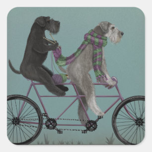 Schnauzer Tandem Vierkante Sticker