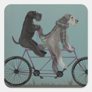 Schnauzer Tandem Vierkante Sticker