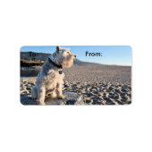 Schnauzer - tin etiket (Voorkant)