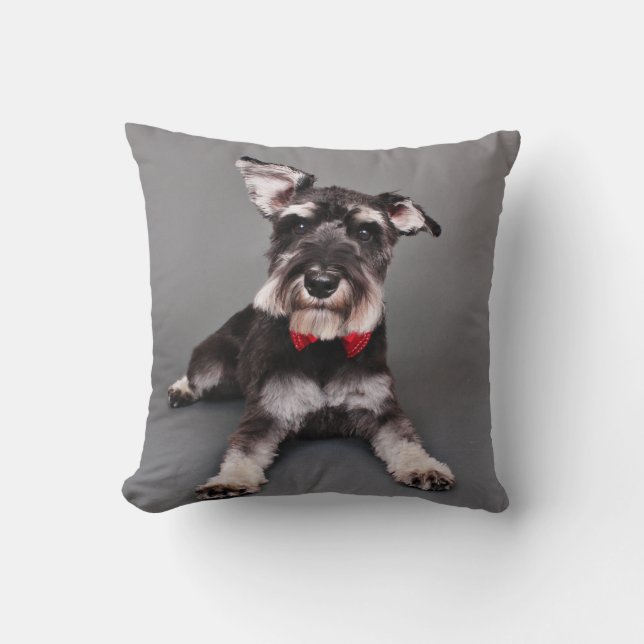 Schnauzer - Tom Dooley Kussen (Voorkant)