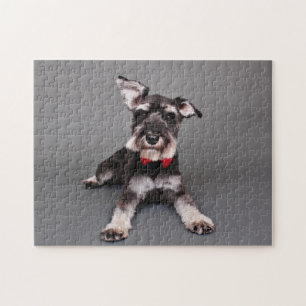 Schnauzer - Tom Dooley Legpuzzel