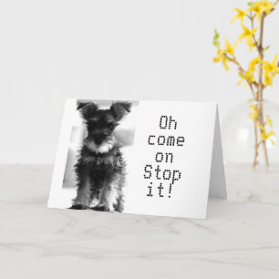 SCHNAUZER U KIJKT NOG STEEDS "49" HOE JE "50" KUNT KAART