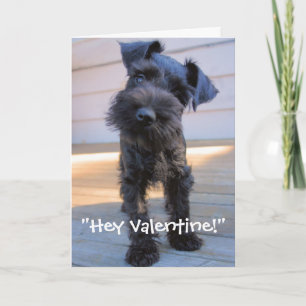 Schnauzer Valentine's Day Card Feestdagen Kaart
