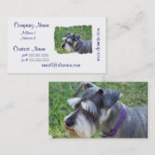 Schnauzer-Visitekaartjes Visitekaartje (Voorkant / Achterkant)