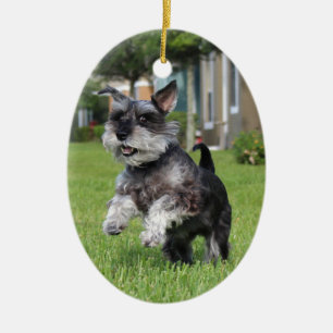 Schnauzer, vreugde keramisch ornament