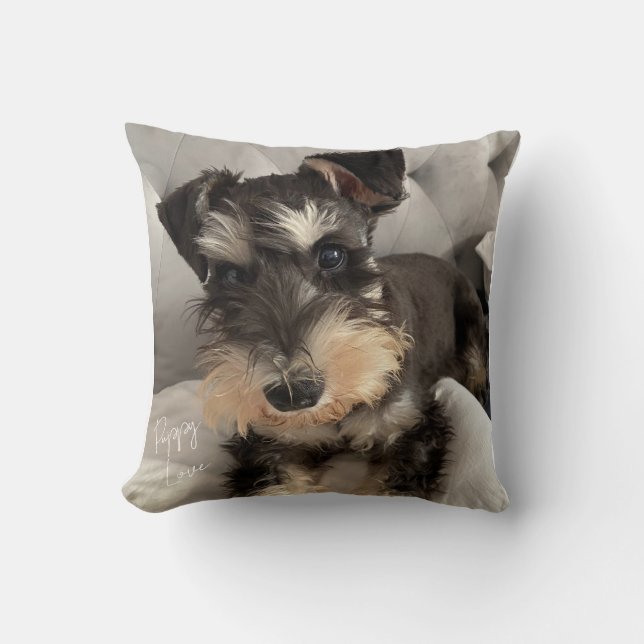Schnauzer Worpkussen Kussen (Voorkant)