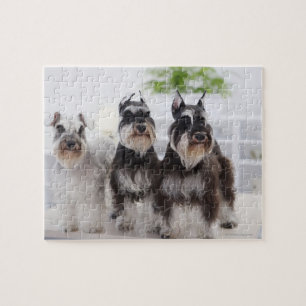Schnauzers aan de rand van de tafel legpuzzel