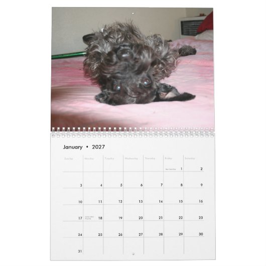Schnauzers Kalender (Jan 2027)