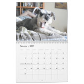Schnauzers Kalender (Feb 2027)