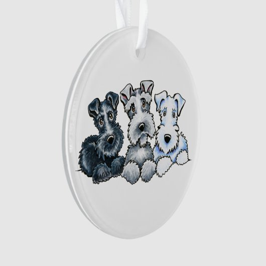 Schnauzers solides (devant)