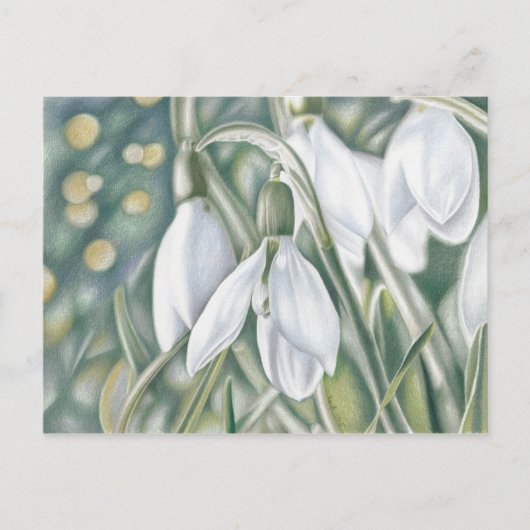 Schneeglöckchen - Farbstiftzeichnung Briefkaart (Voorkant)