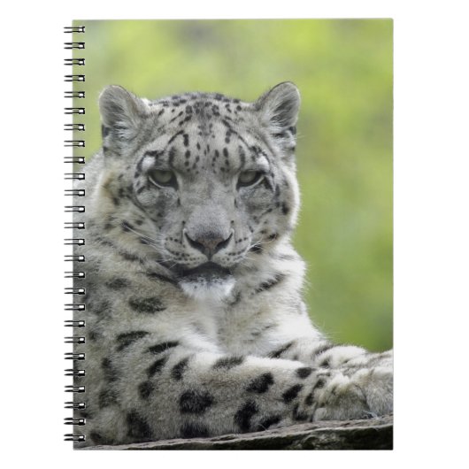Schneeleopard Notitieboek (Voorkant)
