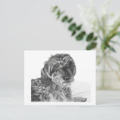 Schnell - Carte postale vide (Debout devant)