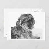 Schnell - Carte postale vide (Devant / Derrière)