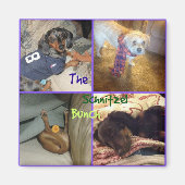 Schnitzel Bunch Magnet (Devant)