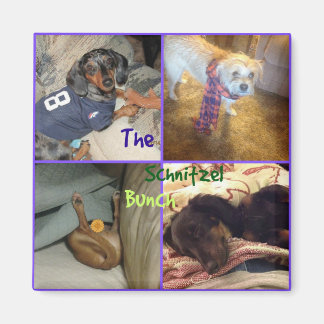 Schnitzel Bunch Magnet Magneet