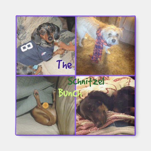 Schnitzel Bunch Magnet Magneet (Voorkant)