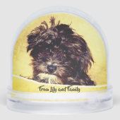 Schnoodle (Arrière)