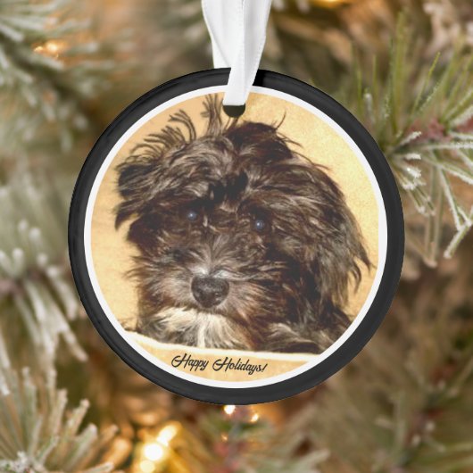 Schnoodle Acryl Cirkel Ornament (Boom)