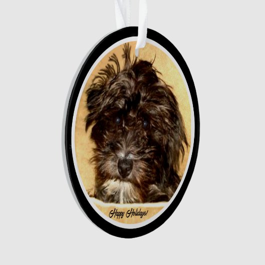 Schnoodle Acryl Cirkel Ornament (voorkant)