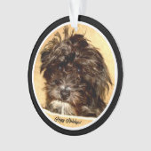 Schnoodle Acryl Cirkel Ornament (voorkant)