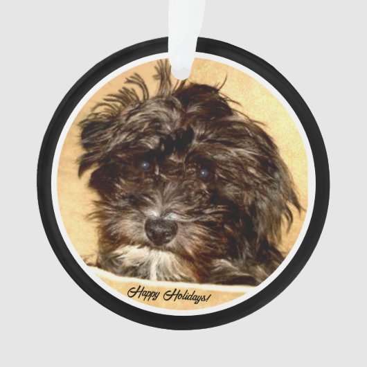 Schnoodle Acryl Cirkel Ornament (voorkant)