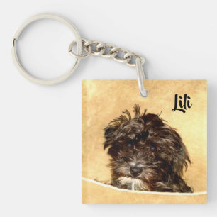 Schnoodle Hond Dubbelzijdig Sleutelhanger