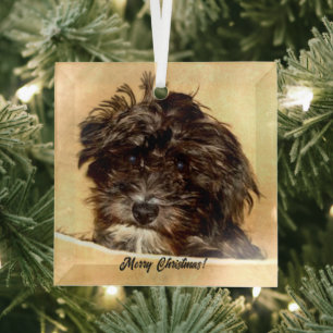 Schnoodle hond glazen kerstbal glas ornament