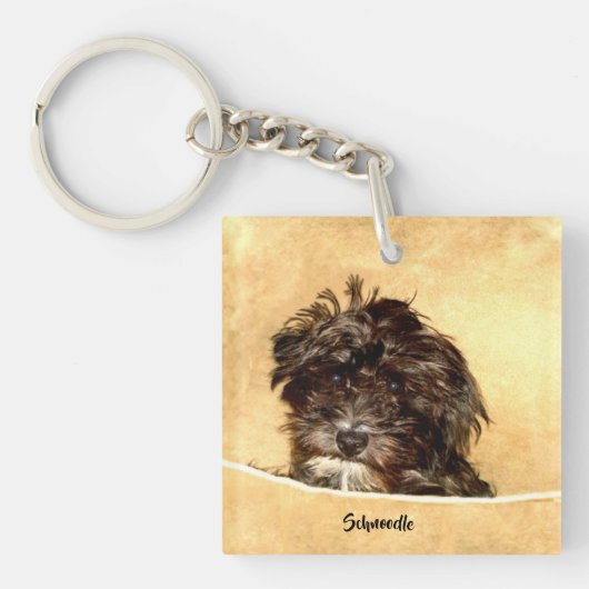 Schnoodle Hond Sleutelhanger (voorkant)
