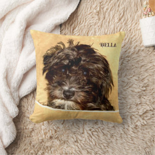 Schnoodle-hondwerpkussen met tekst kussen