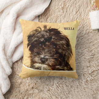 Schnoodle-hondwerpkussen met tekst kussen