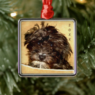 Schnoodle Premium Vierkantige Ornament