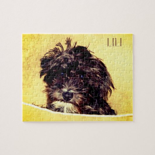 Schnoodle Puzzle Personnalisé (Horizontal)