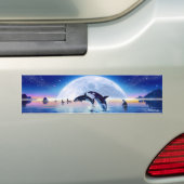 Schoal orka's bumpersticker (Op auto)