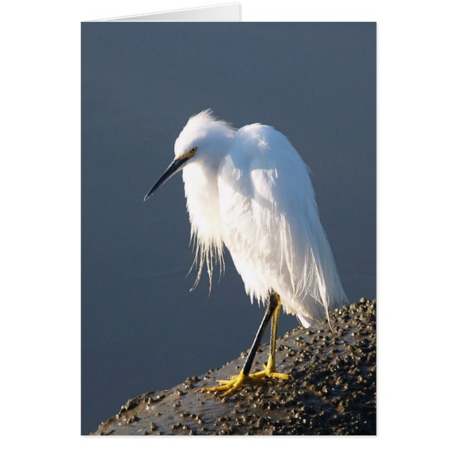 Schoenbehandelingskaart (Voorkant)