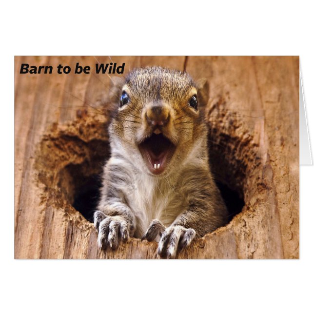 Schoenen eekhoorn (Voorkant Horizontaal)